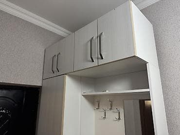 4 qapılı, Güzgülü, Boz, Açılan, Düz dolab — 10