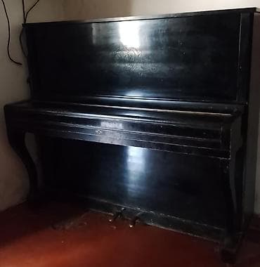 dynacord 2: Piano, Belarus, Akustik, İşlənmiş, Ünvandan götürmə — 5
