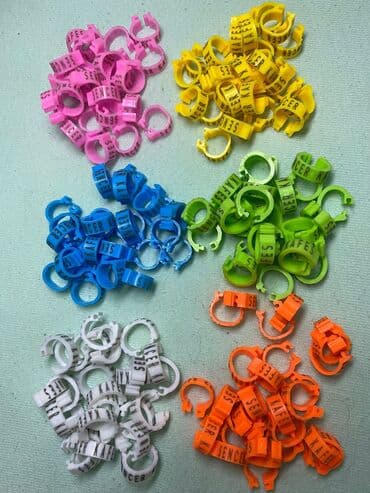 домик для собак: #göyərçi̇n #tutuquşu #bülbül @üçün: 1) fərqli materiallardan müxtəlif — 1