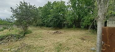 bulbulede evler: Tikinti, Mülkiyyətçi, Kupça (Çıxarış) — 1