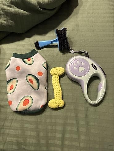 İt üçün aksesuar dəsti Dəst aşağıdakılardan ibarətdir: - Avokado lalafo.az -da İt üçün aksesuar dəsti Dəst aşağıdakılardan ibarətdir: - Avokado