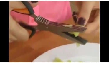 qaycı: Paslanmayan qayçı — 1