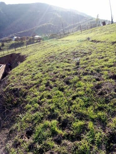 земельный участок в деревне: 29 соток, Для строительства, Собственник, Купчая — 10