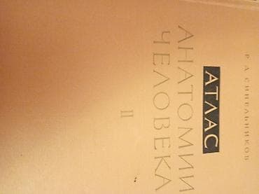 Atlaslar: Məhsul: R. A. Sinelnikov – “Атлас анатомии человека” (Rus dilində), II — 1