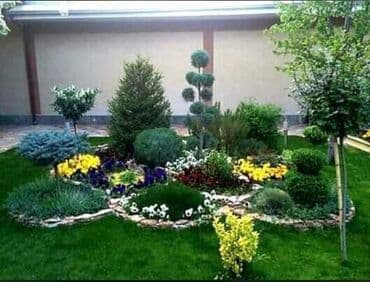 lipa ağacı: Dekarativ agaclarin satisi qazon torpaq torf diger gubrelerin satisi — 10