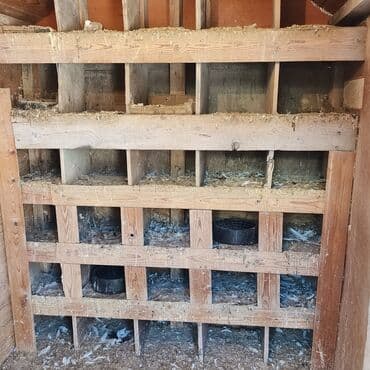 pişik yuvası: Salam Aleykum Quşxana satılır istəyən olsa əlaqə saxlasın .hündürlük — 5