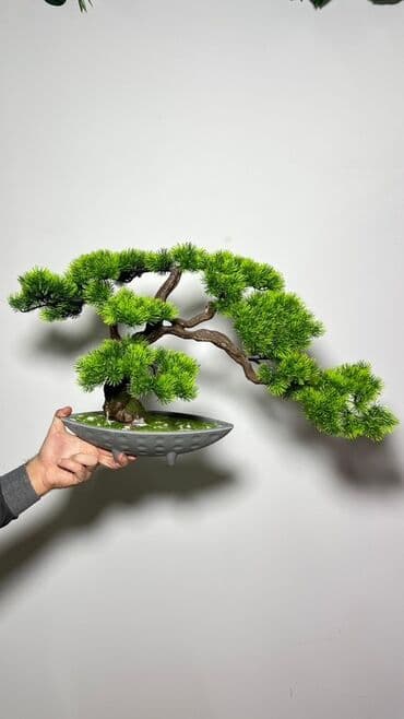 budda: Süni bonsai ağacı – dekorativ içməkan yaşıllaşdırma üçün - Realistik — 1
