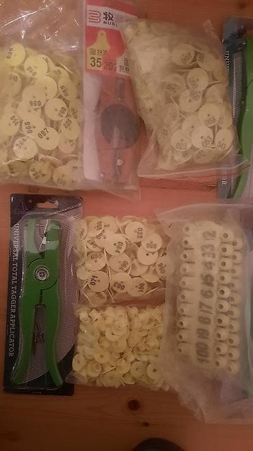 Наручные часы: Qoyun və inəklər üçün müxtəlif növdə qulaq birkalar və qulaq deşənlər — 10