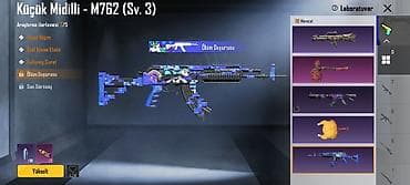 PUBG Mobile oyun hesabı – zəngin kosmetik kolleksiya və aktiv RP — 8