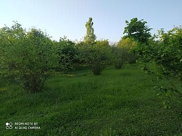 kohne ev: 56 sot, Tikinti, Barter mümkündür, Kupça (Çıxarış) — 2