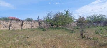 goradilde torpaq: 9 sot, Tikinti, Makler, Kupça (Çıxarış) — 3