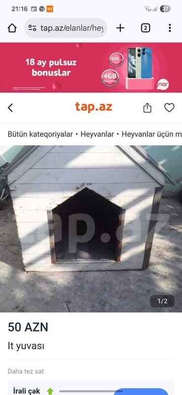 it yuvası satilir: It yuvası — 1