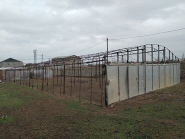 Toxumlar: Istixana satilir,uzunu 25 metr,eni 9 — 2