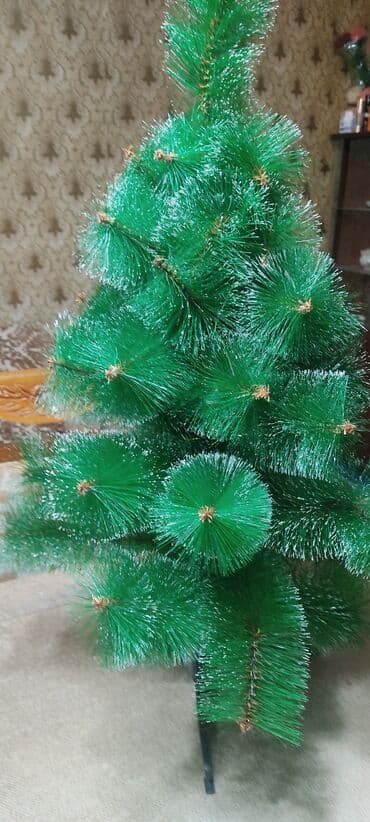 avokado ağacı: Boyu 1m. 15m — 2