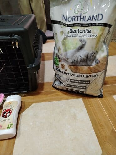 Yuvalar: Pişik üçün aksesuarlar dəsti - Daşınma üçün plastik daşıyıcı qutu — 5