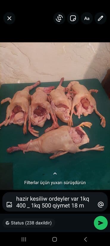 Ləpələr: Məhsul: Hazır təmizlənmiş ördək əti - Tam karkas şəklində, içalatı — 1