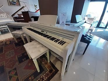 Pianino reqemsal. Royal musiqi aletleri magazalar shebekesi sizlere