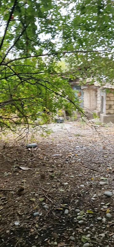 qobuda heyet evi: 3 otaqlı, 60 kv. m, Kredit var, Təmirsiz — 10