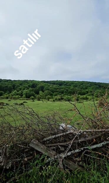 земельные участки на море: 7 sot, Tikinti, Mülkiyyətçi, Kupça (Çıxarış) — 3