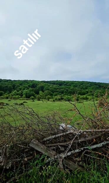 kend ehmedlide evler: 13 sot, Tikinti, Mülkiyyətçi, Kupça (Çıxarış) — 3