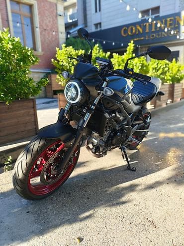 Suzuki - Sv650, 650 sm3, 2024 il, 3367 km — 1