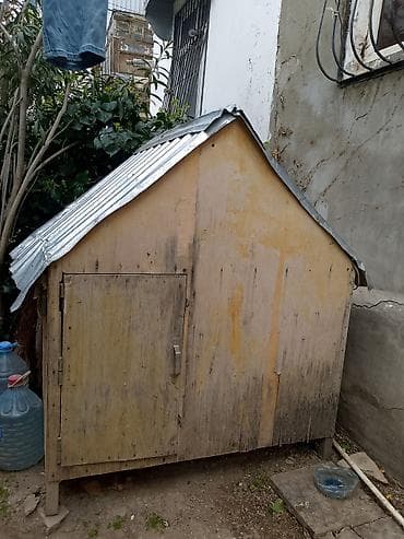 şirin pişikler: Taxta quş yuvası - Material: gövdə – möhkəm faner/taxta, dam – — 3