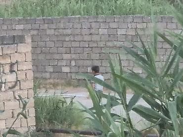 kenquru usaq geyimleri: Ushaq uchun kenquru
Yeni
Chicco firması
50 azn — 3