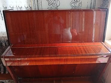 Piano, Belarus, Akustik