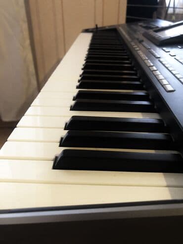 korg pa300: Sintezator, Korg — 4