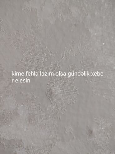 Xidmət: Gündəlik fəhlə işi Təsvir: - Günlük əsasda işləyə bilən fəhlə lalafo.az -da Xidmət: Gündəlik fəhlə işi Təsvir: - Günlük əsasda işləyə bilən fəhlə