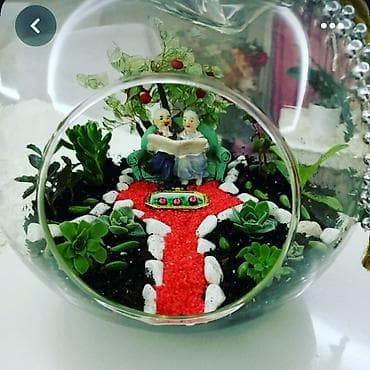 akvaryum baligi: Yumru akvarium, 13 l — 4