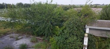 ucar: 30 sot, Biznes üçün, Mülkiyyətçi, Kupça (Çıxarış) — 11