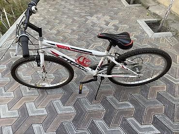 velosiped kameri: Salcano Excel 24 dağ velosipedi - Çərçivə: Salcano Excel 24, yüngül — 2