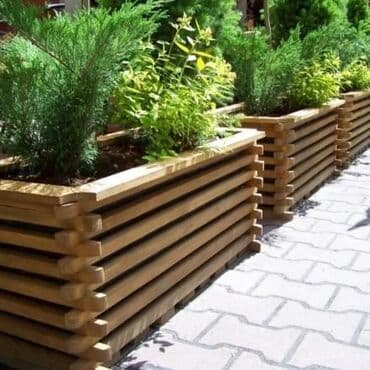 taxta dibçək: Dibçekler 10 ededen artiq olduqda çatdirilma pulsuz — 1