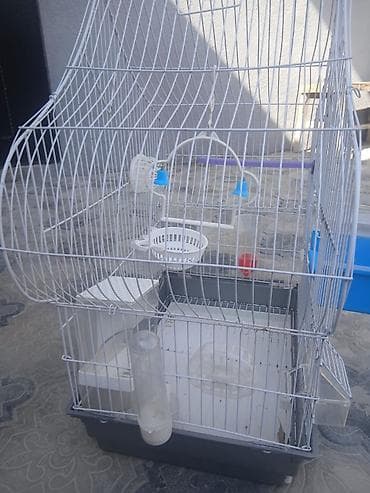 Qəfəslər: Iki ədəd böyük qəfəs satılır biri 20 m bütün aksisuarlarıyla birlikdə — 9