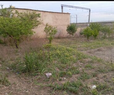 эла магазин школьной формы: 8 sot, Kənd təsərrüfatı — 2