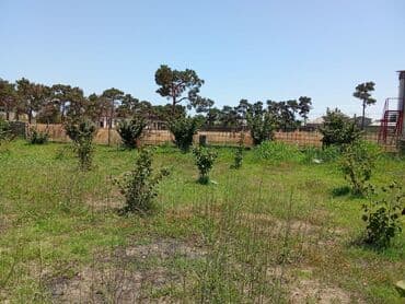 xırdalan kirayə evlər 3 otaqlı: 8 sot, Tikinti, Mülkiyyətçi, Texniki pasport — 8