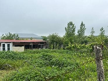 Mənzillər: Şamaxı, 140 kv. m, 5 otaqlı, Hovuzsuz, Qaz, İşıq, Su — 9