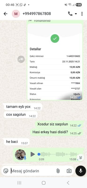 menks cinsi pişik: Şotland, Erkək, Dişi, Yaxşı əllərə, Pulsuz çatdırılma, Ödənişli çatdırılma — 22