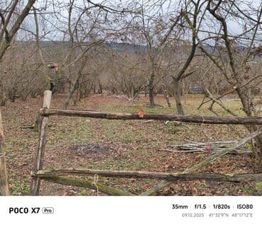 xankəndi evlər: Kənd təsərrüfatı — 1