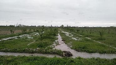 xocasende torpaq satilir: 48 sot, Kənd təsərrüfatı, Mülkiyyətçi, Kupça (Çıxarış) — 2