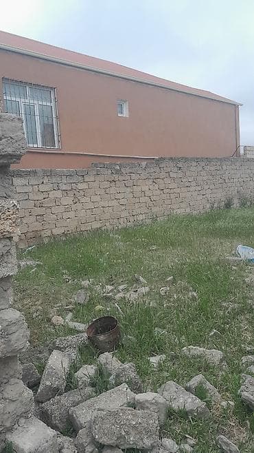 Tikinti — 3