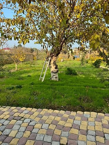 вешилка: Bağ evi – geniş həyətyanı sahə və yaşayış üçün tam şərait - Yaşayış — 1