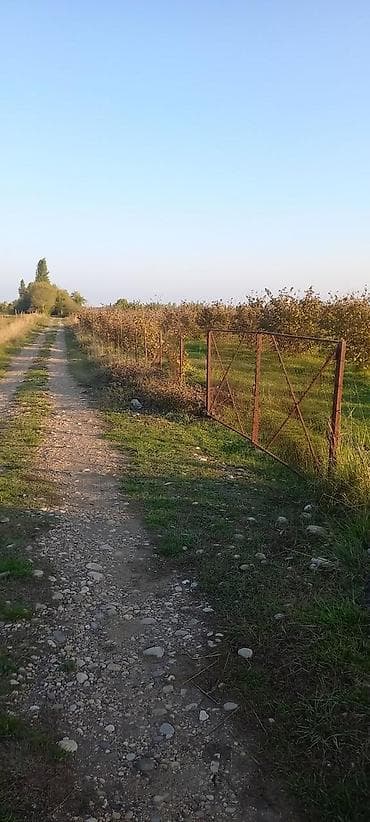 lökbatan torpaq: 166 sot, Kənd təsərrüfatı, Mülkiyyətçi, Kupça (Çıxarış) — 1