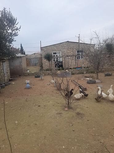 4 otaqlı, 400 kv. m, Kredit yoxdur, Orta təmir