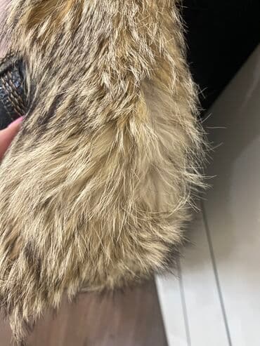 dəri jaket: Kurtkalar — 1