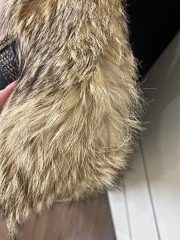 aşbaz geyimi: Kurtkalar — 4