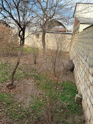 Kirayə torpaq sahələri: Biznes üçün, Mülkiyyətçi, Kupça (Çıxarış) — 3