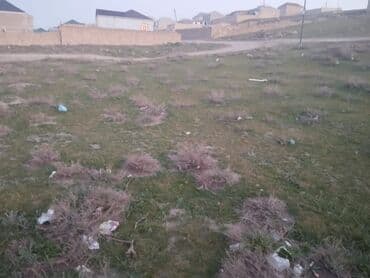 Həyət evləri və villalar: 6 sot, Tikinti, Mülkiyyətçi, Bələdiyyə — 3