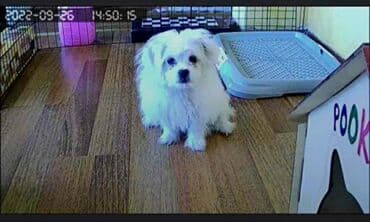 бу морозильная камера купить: Təhlükəsizlik sistemləri | Müşahidə kameraları | Quraşdırılma, Zəmanət — 14